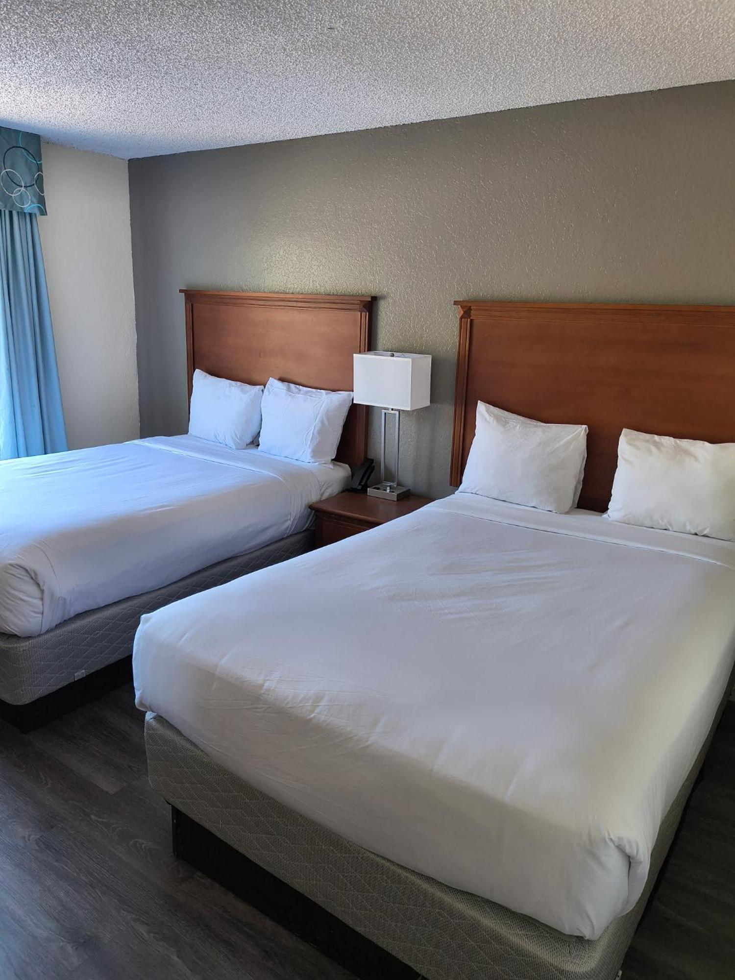 Baymont By Wyndham Gainesville I-75 Номер фото